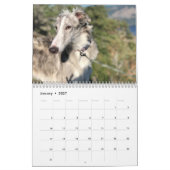 Silken Windhounds 2021 - Shots met kop Kalender (Jan 2027)