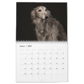 Silken Windhounds 2021 - Shots met kop Kalender (Mar 2027)