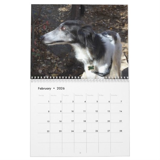 Silken Windhounds 2021 - Shots met kop Kalender (Feb 2026)