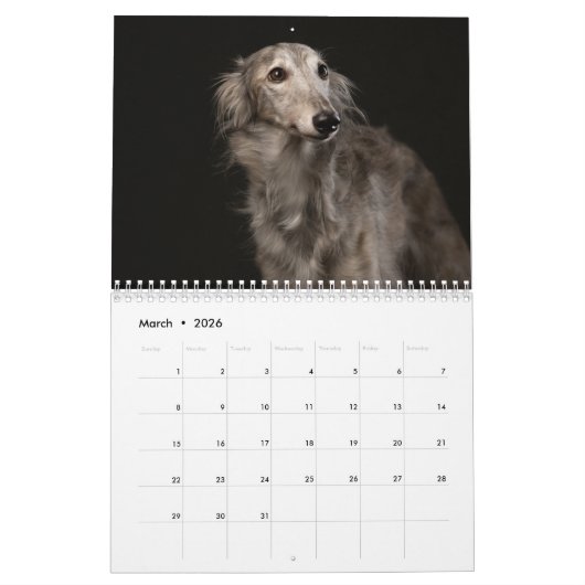 Silken Windhounds 2021 - Shots met kop Kalender (Mar 2026)