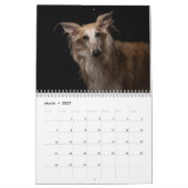 Silken Windhounds 2021 Volwassenen 1 Kalender (Mar 2027)