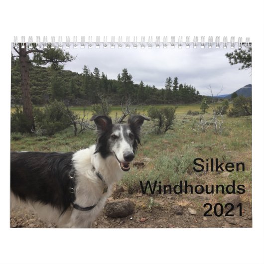 Silken Windhounds 2021 Volwassenen 1 Kalender (Hoes)