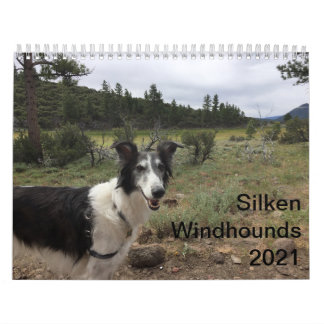Silken Windhounds 2021 Volwassenen 1 Kalender
