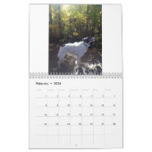 Silken Windhounds 2021 Volwassenen 2 Kalender (Feb 2026)