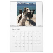 Silken Windhounds 2-3 2014 Kalender (Mar 2026)