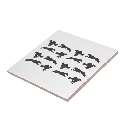 Silken Windhounds aan het lopen Tegeltje (Zijkant)