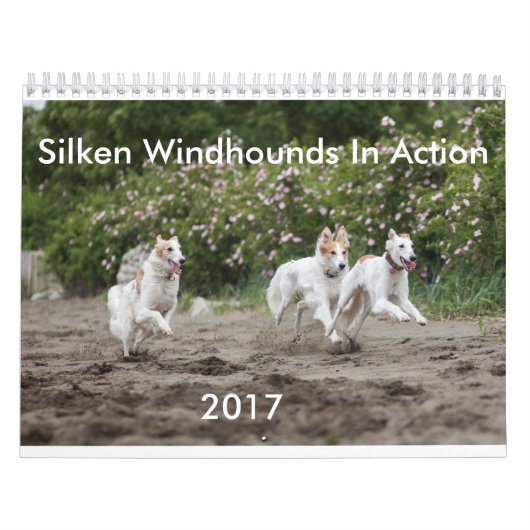 Silken Windhounds in de Kalender van de Actie (Hoes)