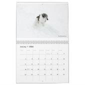 Silken Windhounds in de Kalender van de Actie (Jan 2026)