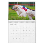 Silken Windhounds in de Kalender van de Actie (Mar 2027)