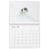 Silken Windhounds in de Kalender van de Actie (Jan 2027)