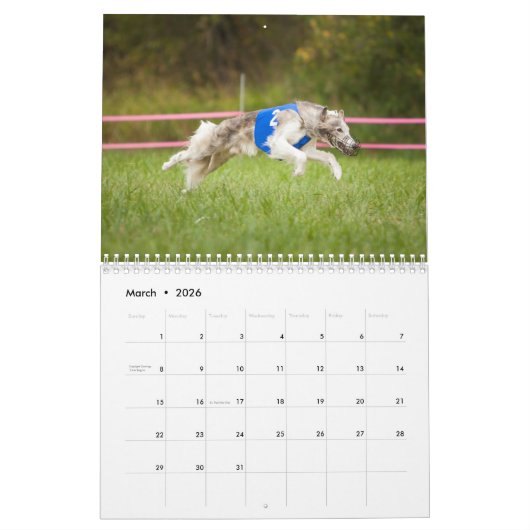 Silken Windhounds met geun. 2019 Kalender (Mar 2026)