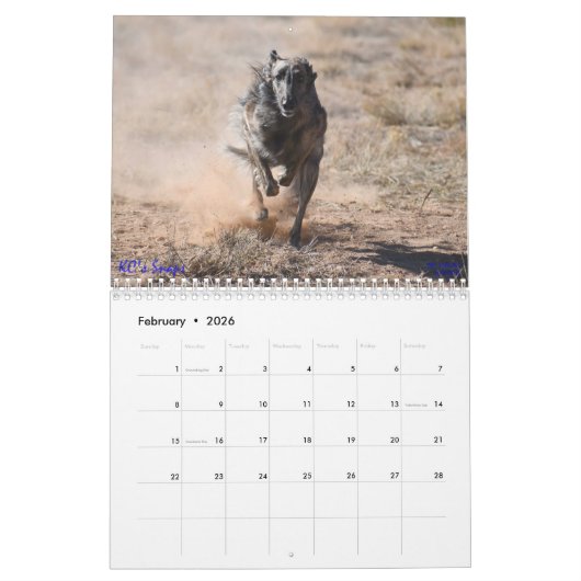Silken Windhounds met geun. 2019 Kalender (Feb 2026)