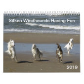 Silken Windhounds met geun. 2019 Kalender (Hoes)