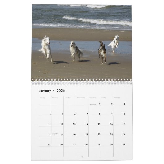 Silken Windhounds met geun. 2019 Kalender (Jan 2026)