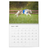 Silken Windhounds met geun. 2019 Kalender (Mar 2027)