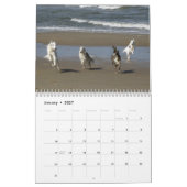 Silken Windhounds met geun. 2019 Kalender (Jan 2027)