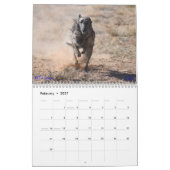 Silken Windhounds met geun. 2019 Kalender (Feb 2027)