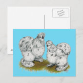Silkie Bantam Splash Chickens Briefkaart (Voorkant / Achterkant)