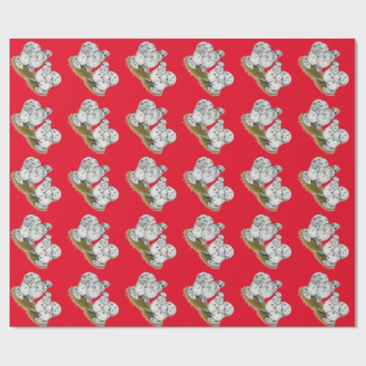 Silkie Bantam Splash Chickens Cadeaupapier (Vlak)