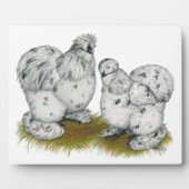 Silkie Bantam Splash Chickens Fotoplaat (Voorkant)