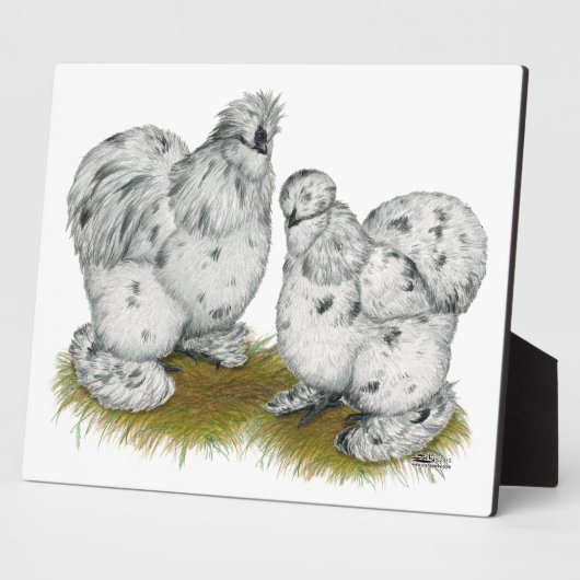 Silkie Bantam Splash Chickens Fotoplaat (Zijkant)