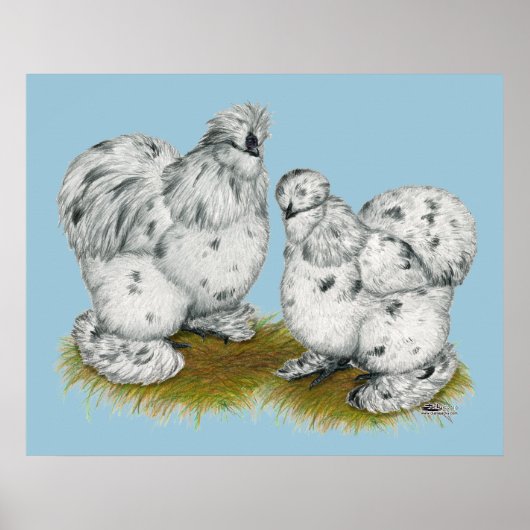 Silkie Bantam Splash Chickens Poster (Voorkant)
