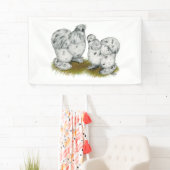 Silkie Bantam Splash Chickens Spandoek (Insitu)