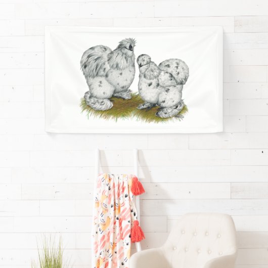 Silkie Bantam Splash Chickens Spandoek (Insitu)