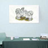 Silkie Bantam Splash Chickens Spandoek (Beurs)