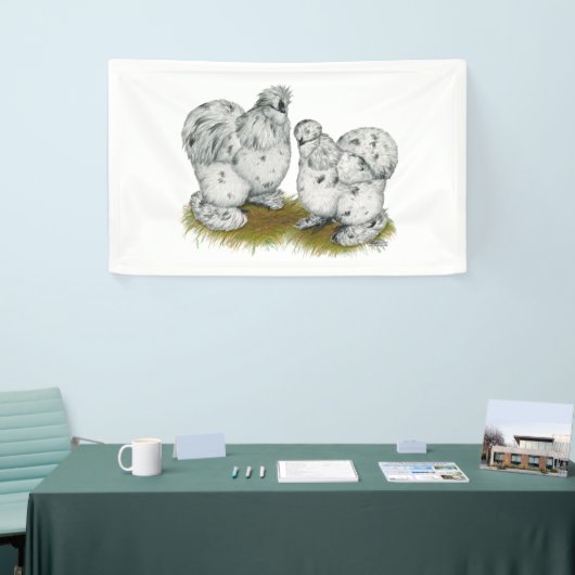 Silkie Bantam Splash Chickens Spandoek (Beurs)