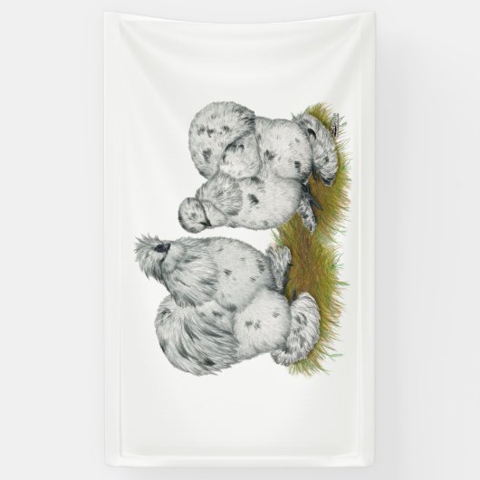 Silkie Bantam Splash Chickens Spandoek (Verticaal)