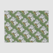 Silkie Bantam Splash Chickens Tissuepapier (Voorkant)