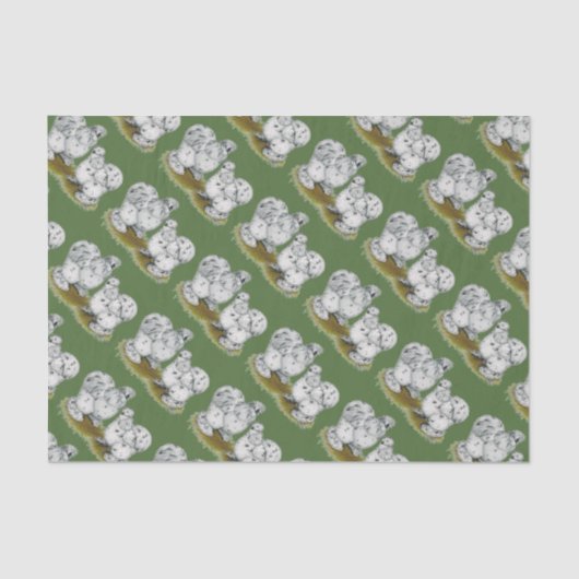 Silkie Bantam Splash Chickens Tissuepapier (Voorkant)