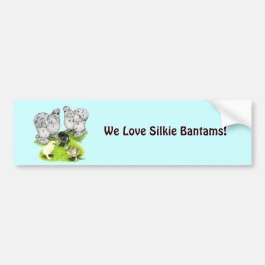 Silkie Bantam Splash Family Bumpersticker (Voorkant)
