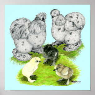 Silkie Bantam Splash Family Poster