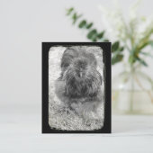 Silkie Briefkaart (Staand voorkant)