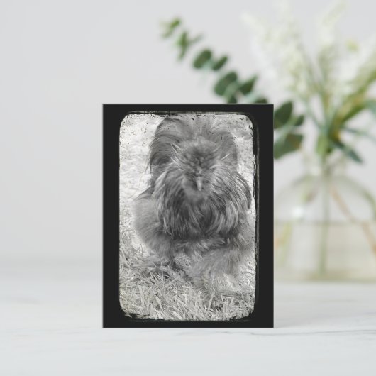 Silkie Briefkaart (Staand voorkant)