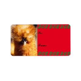 Silkie Chicken close-up Label met kerstcadeaus