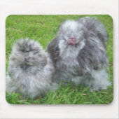 Silkie Chicken Mousepad Muismat (Voorkant)