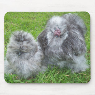 Silkie Chicken Mousepad Muismat