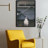 Silkie Chicken Poster