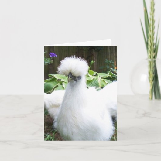 Silkie Chicken wenskaart Kaart (Voorkant)