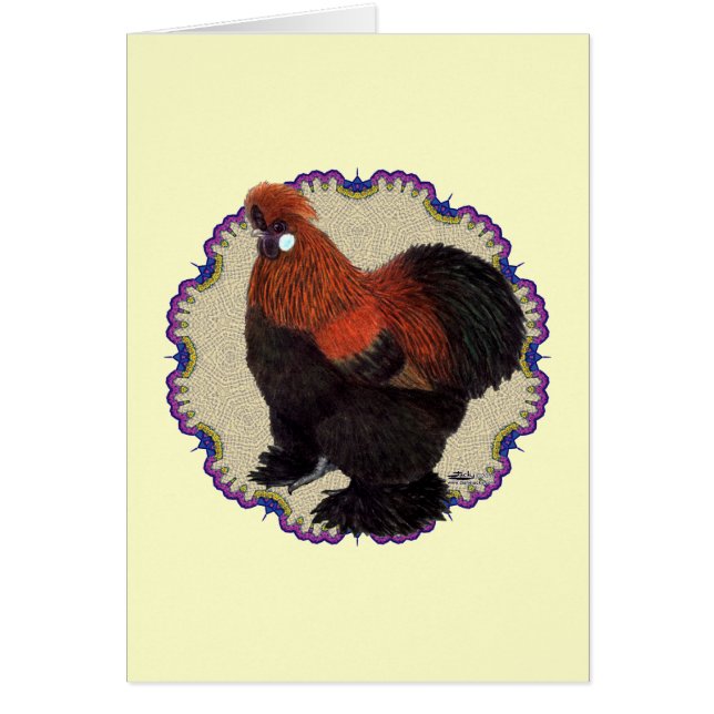 Silkie Circle (Voorkant)