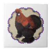 Silkie Circle Tegeltje (Voorkant)