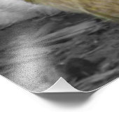 Silkie Hens met kippen die uit veren pieken Foto Afdruk (Hoek)