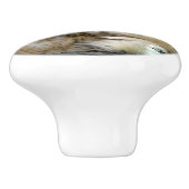 Silkie Hens met kippen die uit veren pieken Keramische Knop (Zijkant)