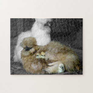 Silkie Hens met kippen die uit veren pieken Legpuzzel