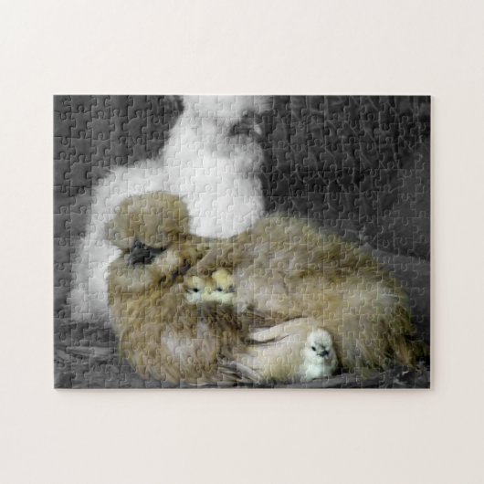 Silkie Hens met kippen die uit veren pieken Legpuzzel (Horizontaal)