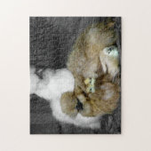 Silkie Hens met kippen die uit veren pieken Legpuzzel (Verticaal)