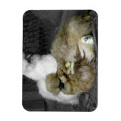 Silkie Hens met kippen die uit veren pieken Magneet (Verticaal)